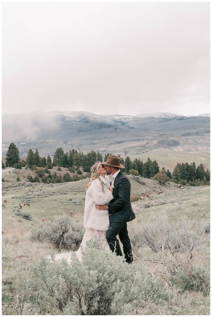 Yellowstone wedding portraits with elk in the background.